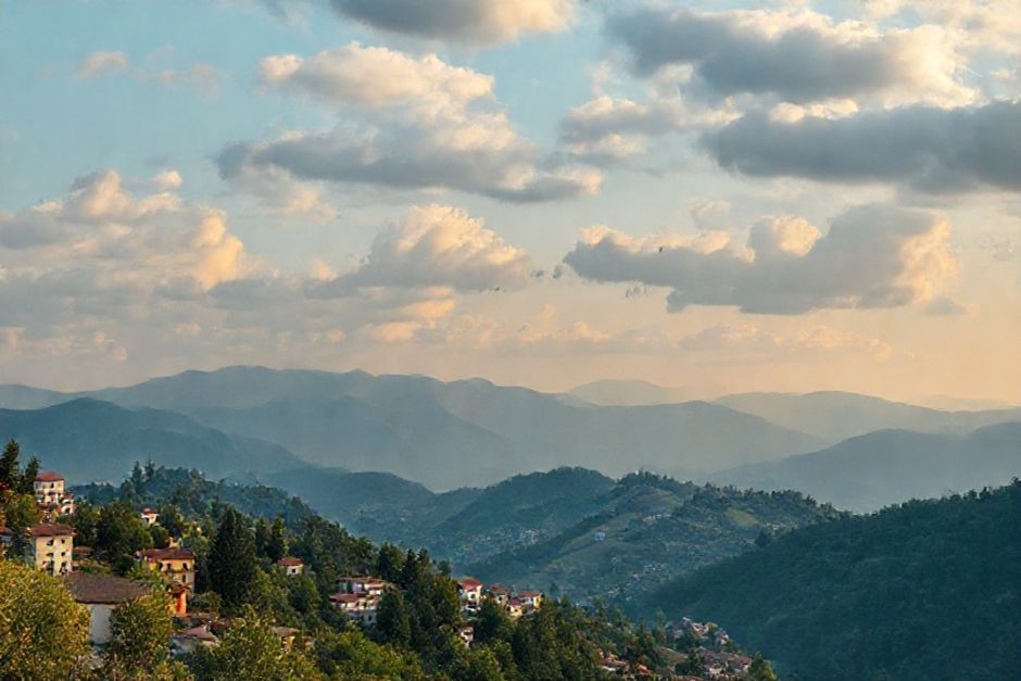 Aşırı Canlı Renk Paletleri: Markanızın Dikkat Çekmesini Sağlayacak Trendler